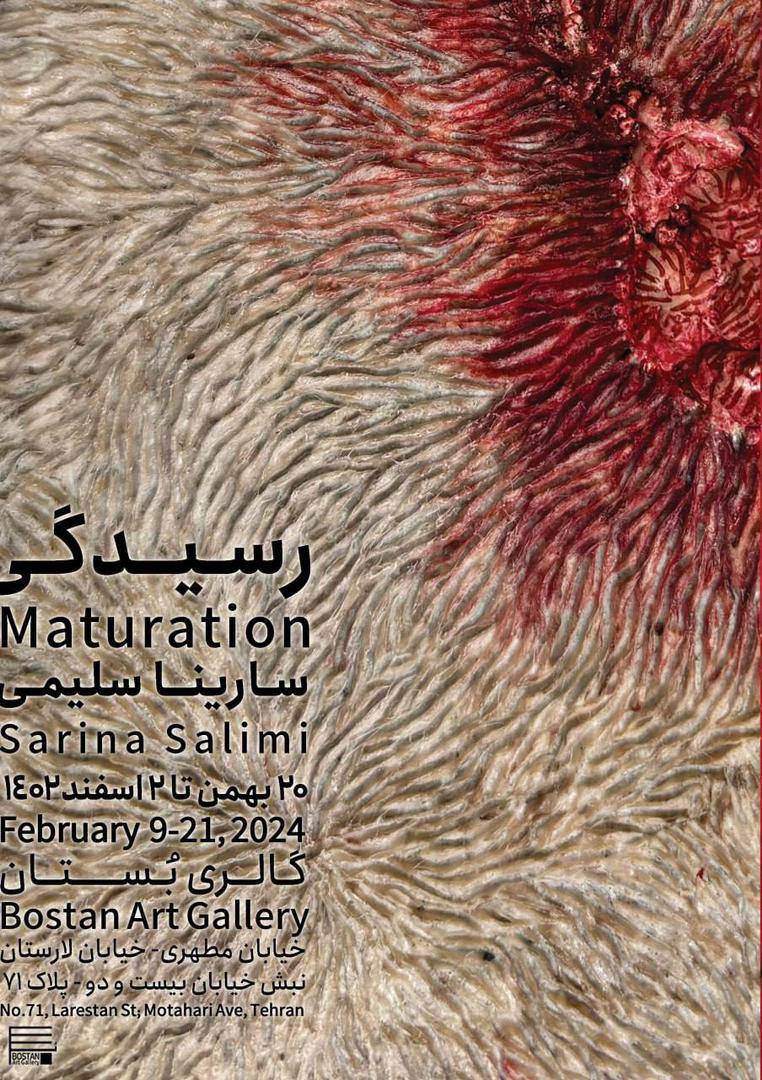 MATURATION POSTER