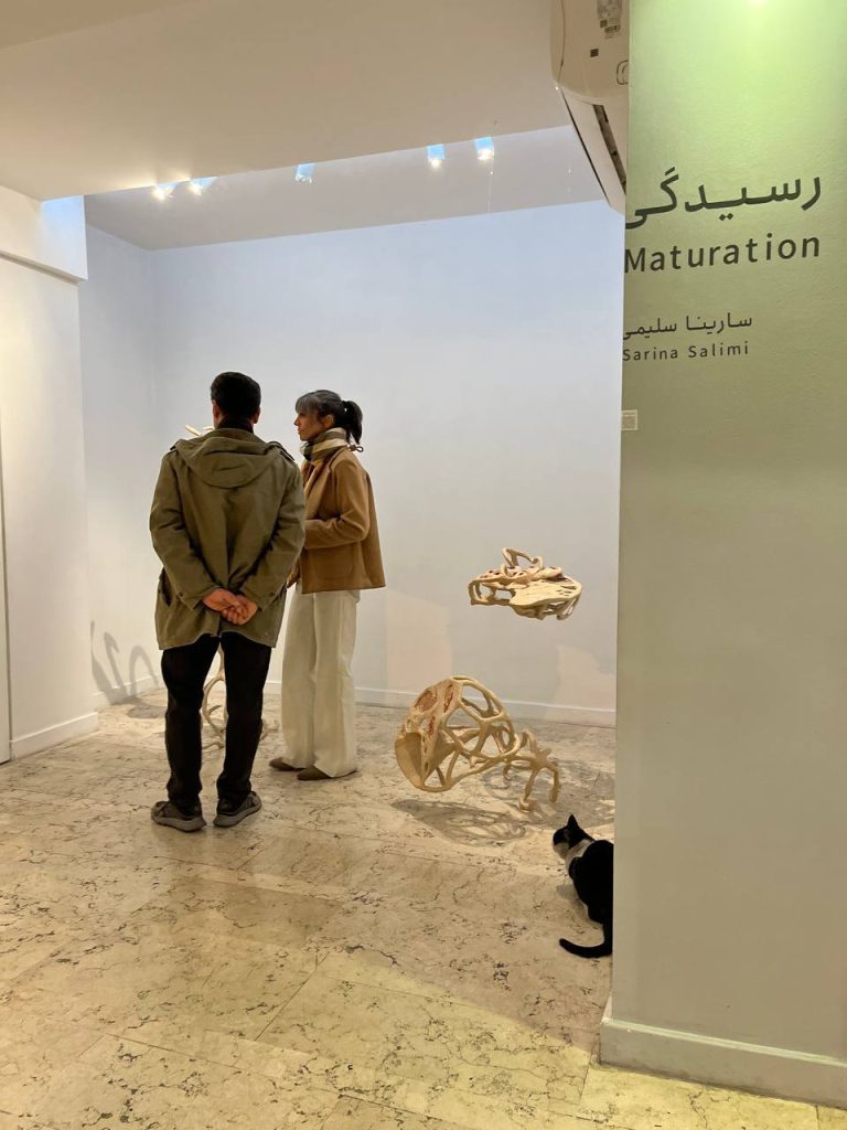Sarina salimi - maturation installation view