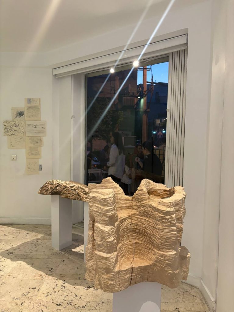 Haleh Moteally - Land Project - Installation Views